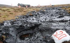 Derrame de petróleo y brea mata 160 mil truchas y otras especies en Arequipa