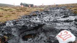Derrame de petróleo y brea mata 160 mil truchas y otras especies en Arequipa