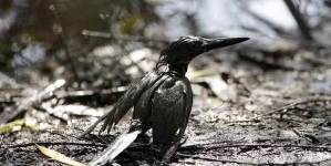 Estas son las imágenes más SOBRECOGEDORAS de hoy 20 de febrero de 2016