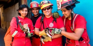 Compañía de Bomberos Lima 4 crea brigada de rescate animal