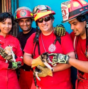 Compañía de Bomberos Lima 4 crea brigada de rescate animal