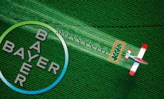 Por 66.000 millones de dólares gigante Bayer compra Monsanto