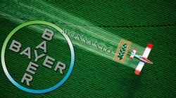 Por 66.000 millones de dólares gigante Bayer compra Monsanto
