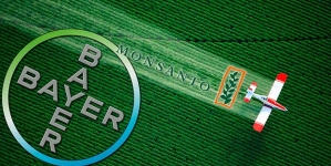 Por 66.000 millones de dólares gigante Bayer compra Monsanto