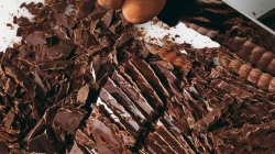 ¿El chocolate próximo a extinguirse?