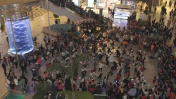 Día de la Marinera: flashmob reunió a más de 100 danzantes (Fotos)