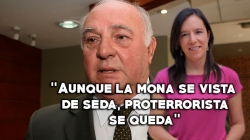 Luis Giampietri a Marisa Glave: “Aunque la mona se vista de seda, proterrorista se queda”