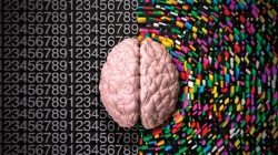Confirmado: leer desarrolla la materia gris del cerebro humano y te convierte en un profesional exitoso