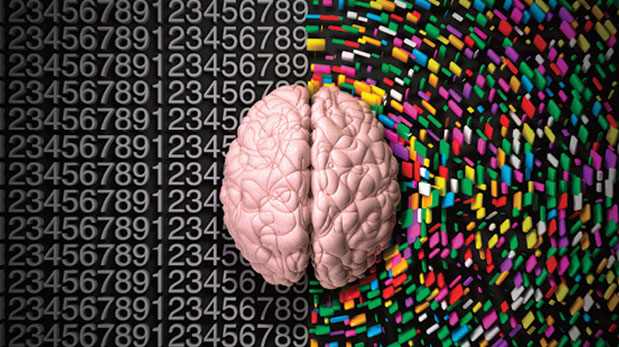 Confirmado: leer desarrolla la materia gris del cerebro humano y te convierte en un profesional exitoso